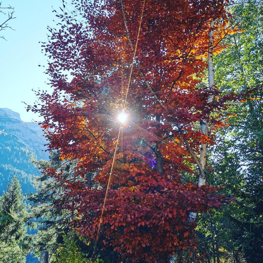 Ferienhaus Hochvogel Hinterhornbach Bagian luar foto